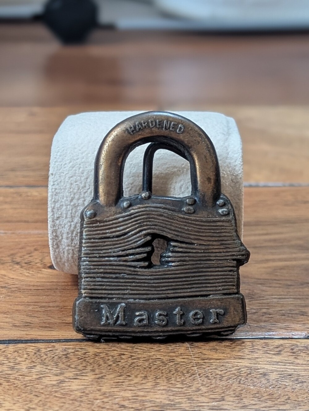 Master Lock Vintage Brass Belt Buckle (OS)